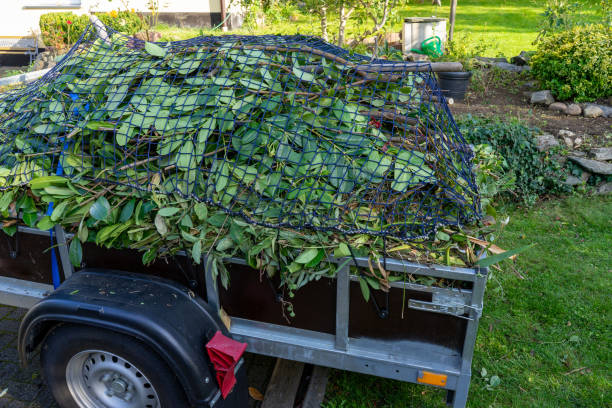 Best Residential Junk Removal  in Logan, WV